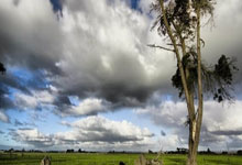 日本队和韩国队，谁在足球领域的实力更胜一筹？